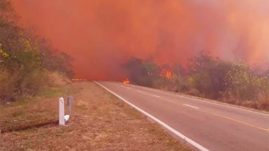 Diputado pide que intervenga la Legislatura por los incendios en Jujuy