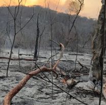 Por los incendios forestales en Jujuy: ya se quemaron más de 8.000 hectáreas