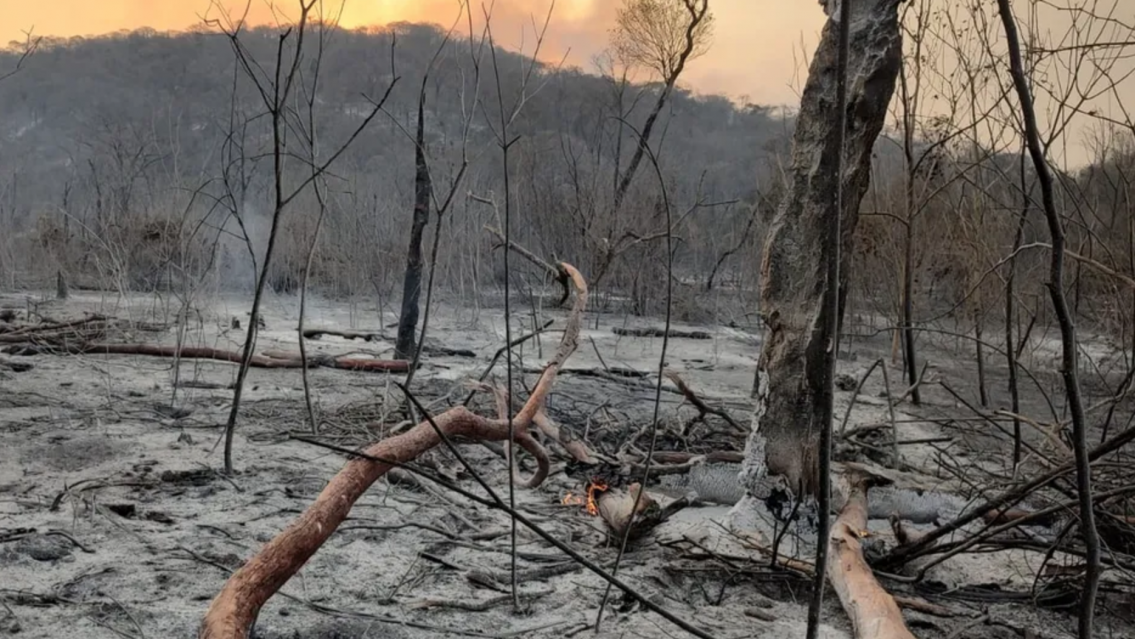 El fuego arras� con 5.500 hect�reas en la zona del ramal juje�o