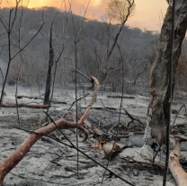 El fuego arrasó con 5.500 hectáreas en la zona del ramal jujeño