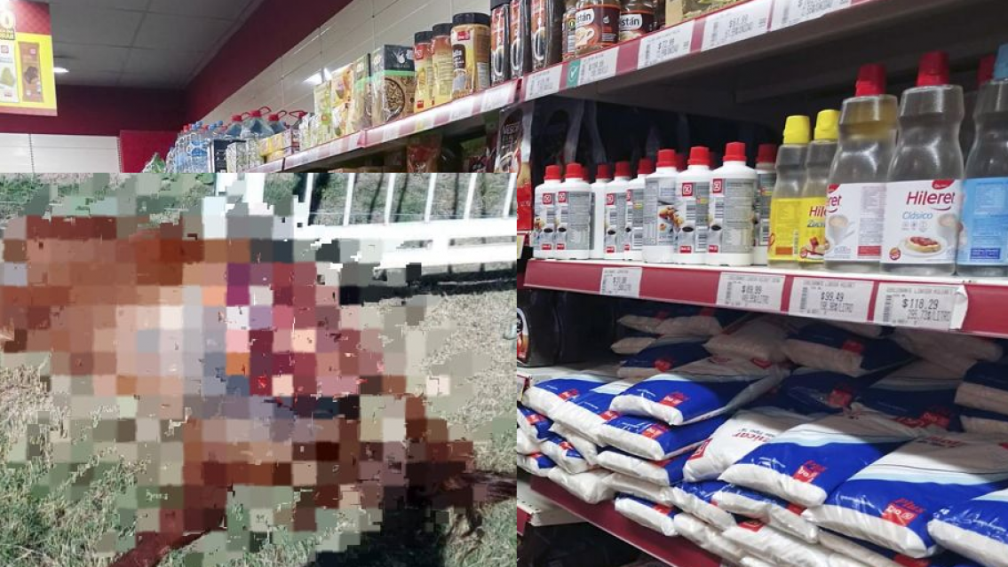 Asqueroso e insalubre, investigan venta de carne de caballo en carnicerías