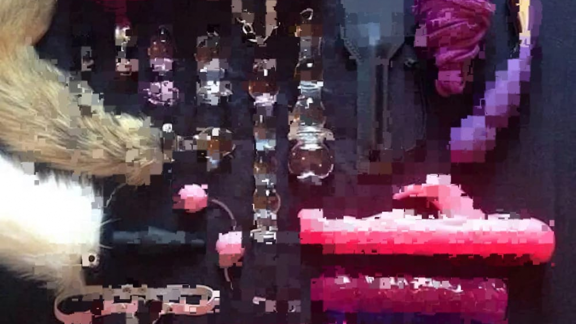 �Qu� se hace en estos casos? Volc� un cami�n y volaron los juguetes sexuales, consoladores y m�s