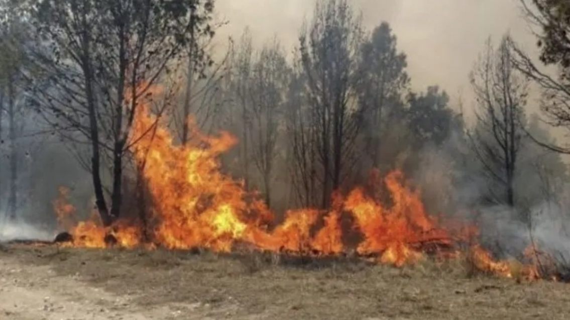 El fuego en Jujuy consumió más de 7200 hectáreas en las Yungas