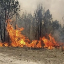 El fuego en Jujuy consumió 520 hectáreas del Parque Nacional Calilegua y más de 7200 en las Yungas