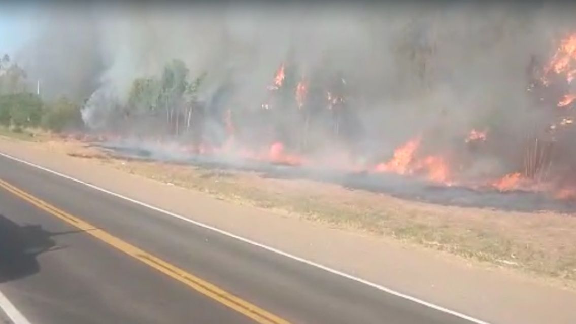 Arde Jujuy: las llamas llegan al costado de la Ruta 34 y afecta el tránsito
