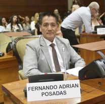 Polémica renuncia: Posadas votó a favor de la reforma y abandonó el PJ