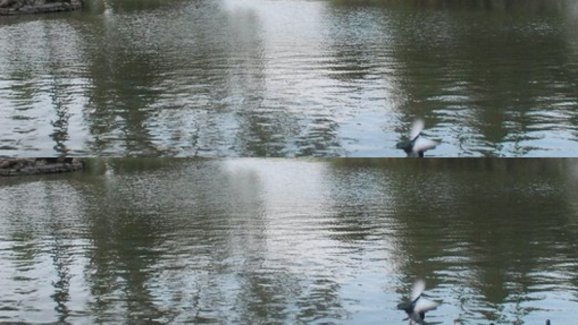 Se le cayeron las llaves al lago, se tiró para lograr lo imposible y el final es alucinante