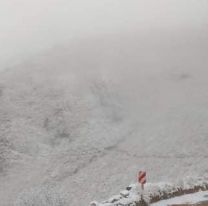 Nevó en Salta en plena primavera: el lugar que amaneció blanco
