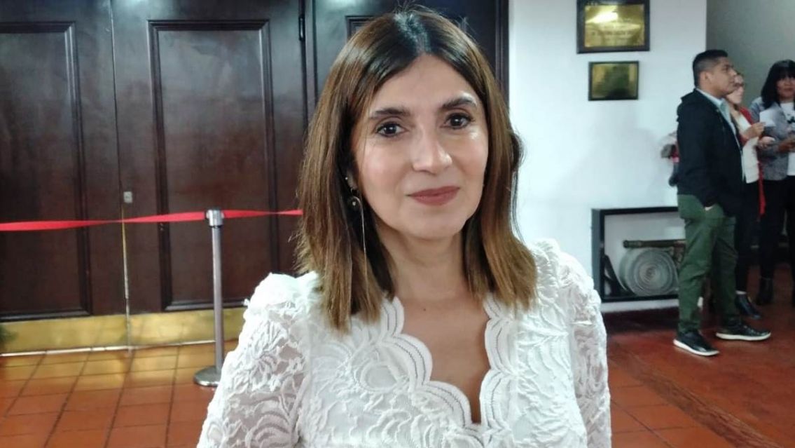 "Gratis no": Para Ferreyra, el voto de la reforma fue una orden del justicialismo