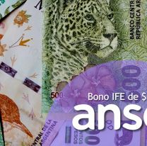 Nuevo IFE de $50.000: quienes se quedaron afuera del bono de Anses