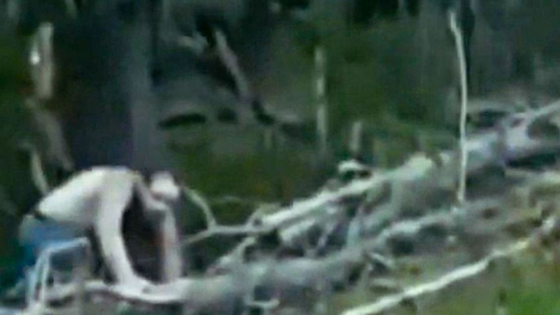 Manejaba de noche solo, prendió las luces y vio algo horrible: "Me quería comer"