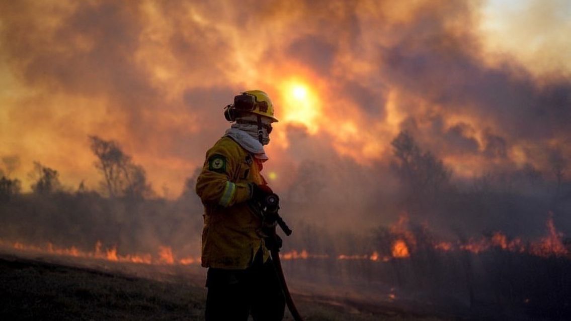 Contundente pedido de la ministra de Ambiente juje�a: hay que actualizar la ley