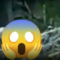 [VIDEO] No apto para sensibles: filmó a un zombie que quería comerselo