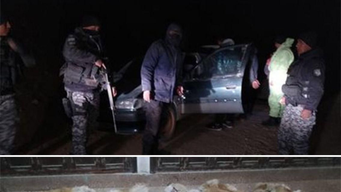 Tres detenidos por asesinar vicuñas: tenían el baúl del auto lleno de sangre