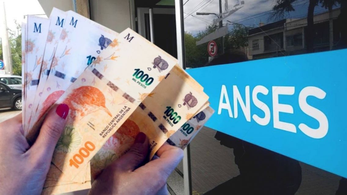 Todavía hay tiempo: cómo anotarse al nuevo IFE