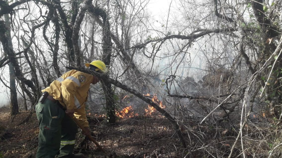 Denuncian que en Jujuy provocan incendios para desarrollos inmobiliarios
