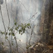 Hay un solo incendio forestal en todo el pa&iacute;s y es de Jujuy: intenso trabajo
