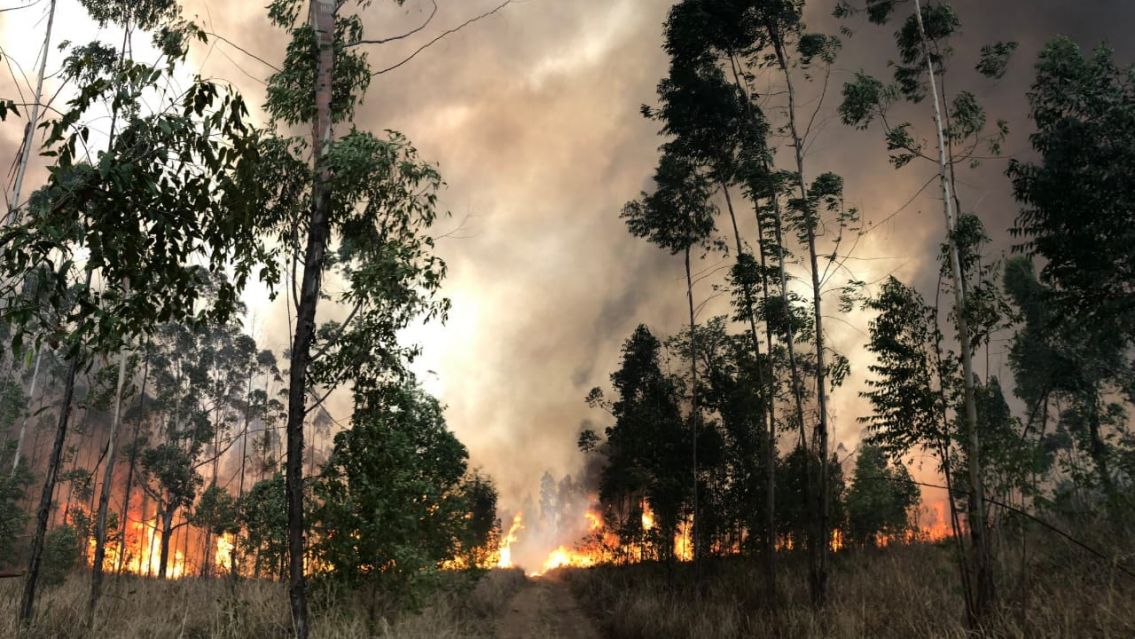 Parecía el infierno: las impactantes imágenes del incendio en Salta y Jujuy