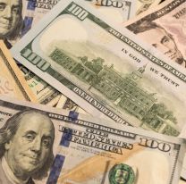 Efecto Milei: as&iacute; est&aacute; el precio del d&oacute;lar en los bancos