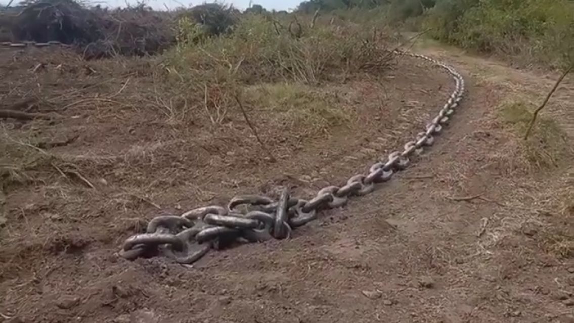 Invasión de propiedad para desmontar: grave denuncia al Ingenio La Esperanza