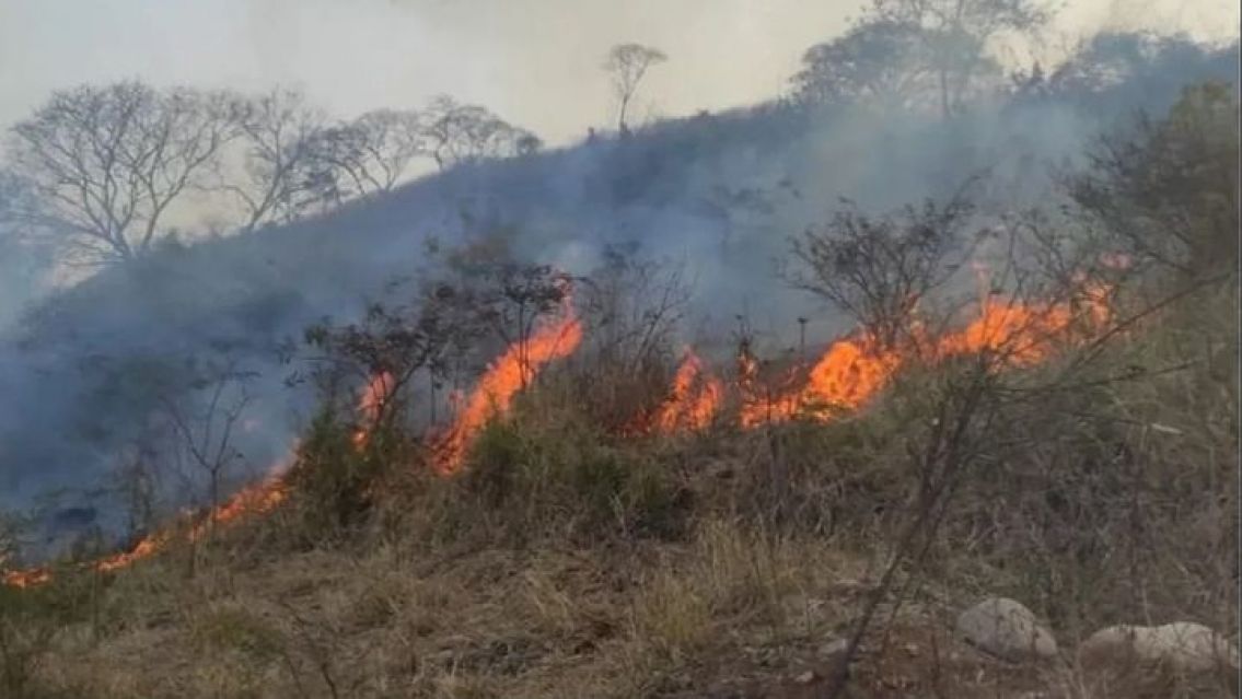 Hay alerta extrema por incendios forestales en Jujuy: para cu�ndo y qu� zonas
