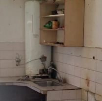 "Si le sacás las cucarachas te lo dejo a 25 mil", el monoambiente del horror 