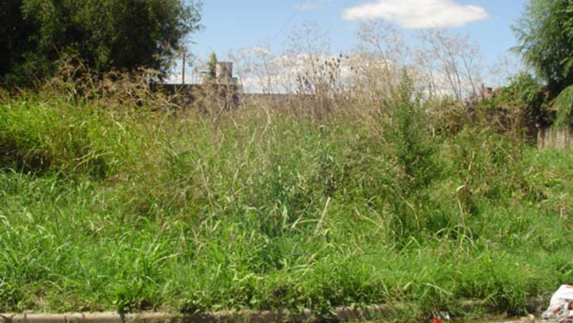 Fue a bailar, lo sedujeron dos "viudas negras" y acabó tirado en un baldío de Palpalá