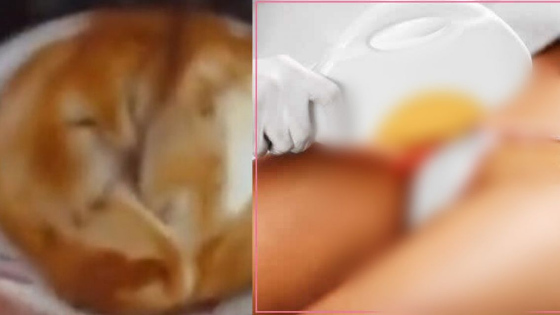 "La empanada llena de pelos": el video que dio asco a m�s de uno