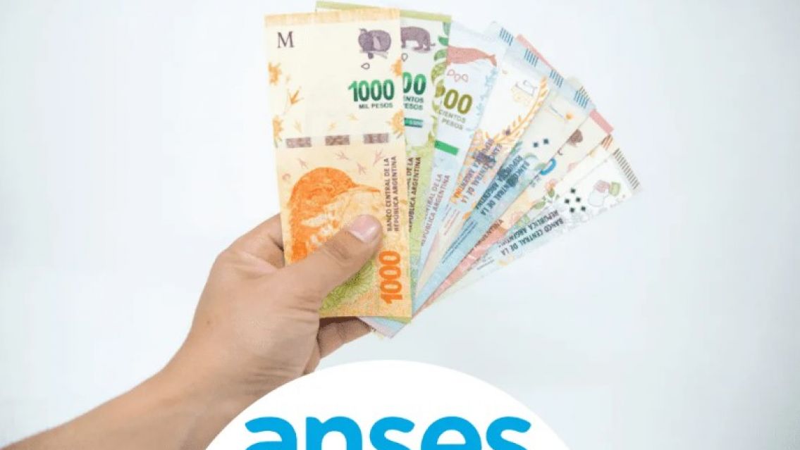 ANSES dará hasta 600 mil pesos a los que quieran mejorar el baño de su casa