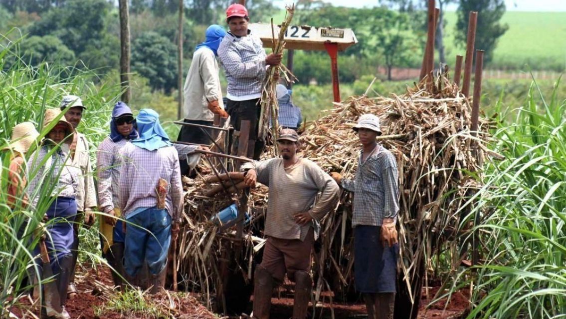 Diputada jujeña presentó un proyecto para la jubilación de los azucareros
