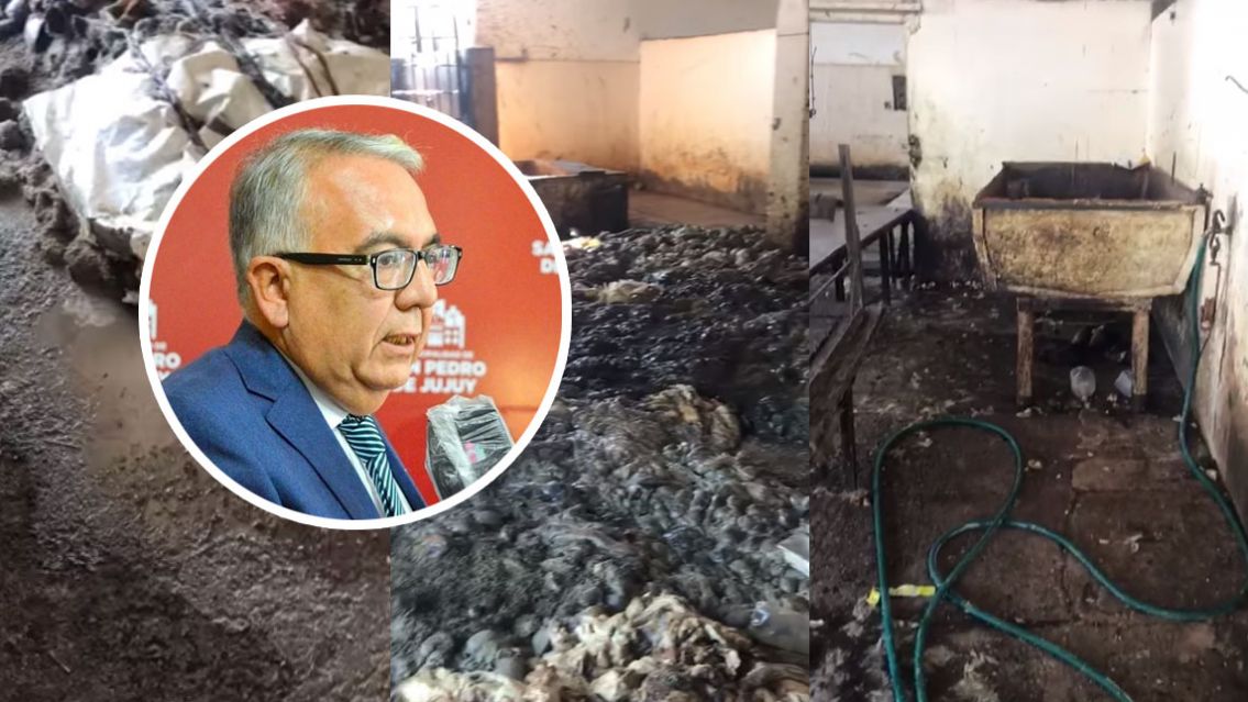 El matadero del terror es de Jujuy y Julio Bravo mira para otro lado