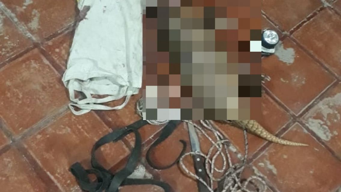 Jujeño se llevaba un animal silvestre sin vida y fue detenido: le secuestraron todo