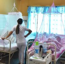 Confirmaron 49 nuevos casos de dengue en Jujuy