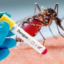 Alarma por el Dengue: Dos nuevas muertes 