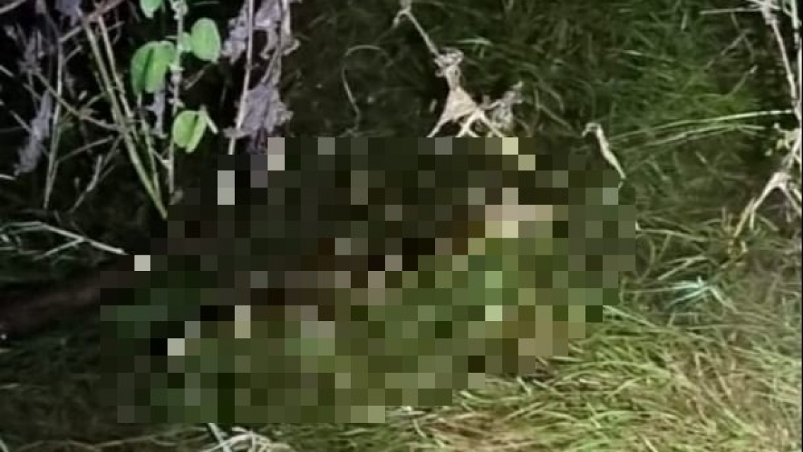 Fueron a pescar al dique y se espantaron. "Nunca más"... Eran dos