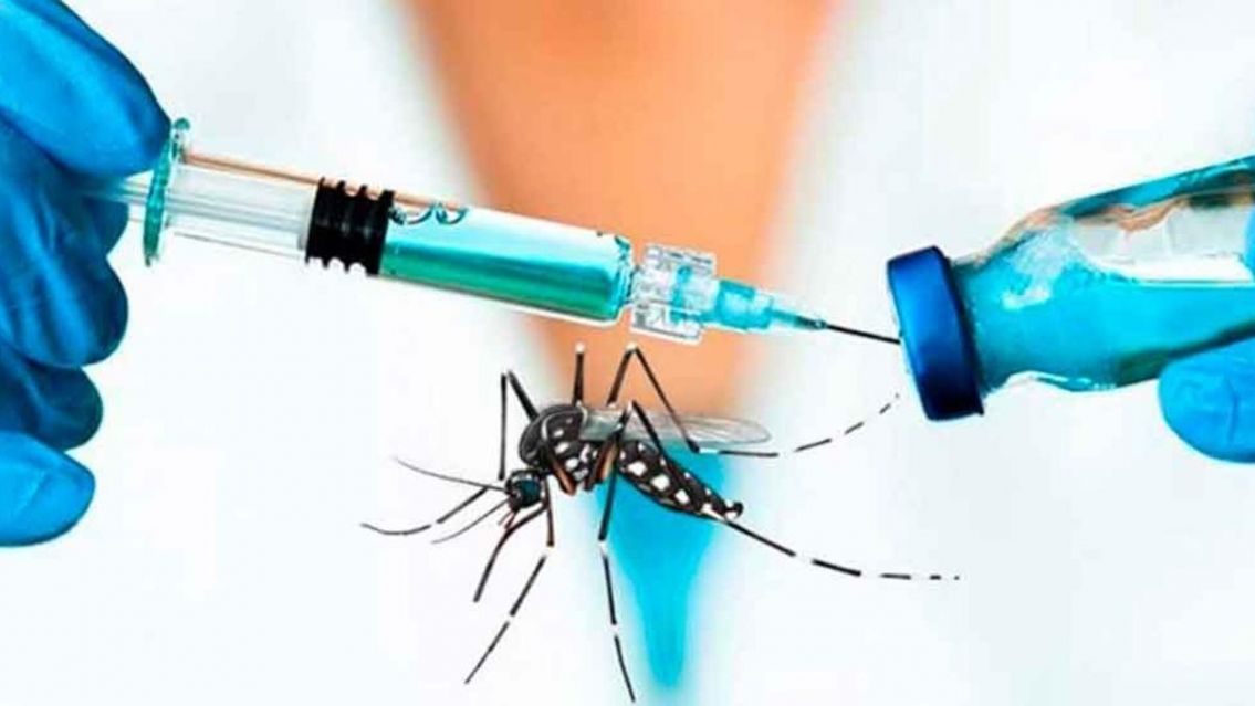 La vacuna contra el dengue llegaría a fin de año: prevendrá la mortalidad e internaciones