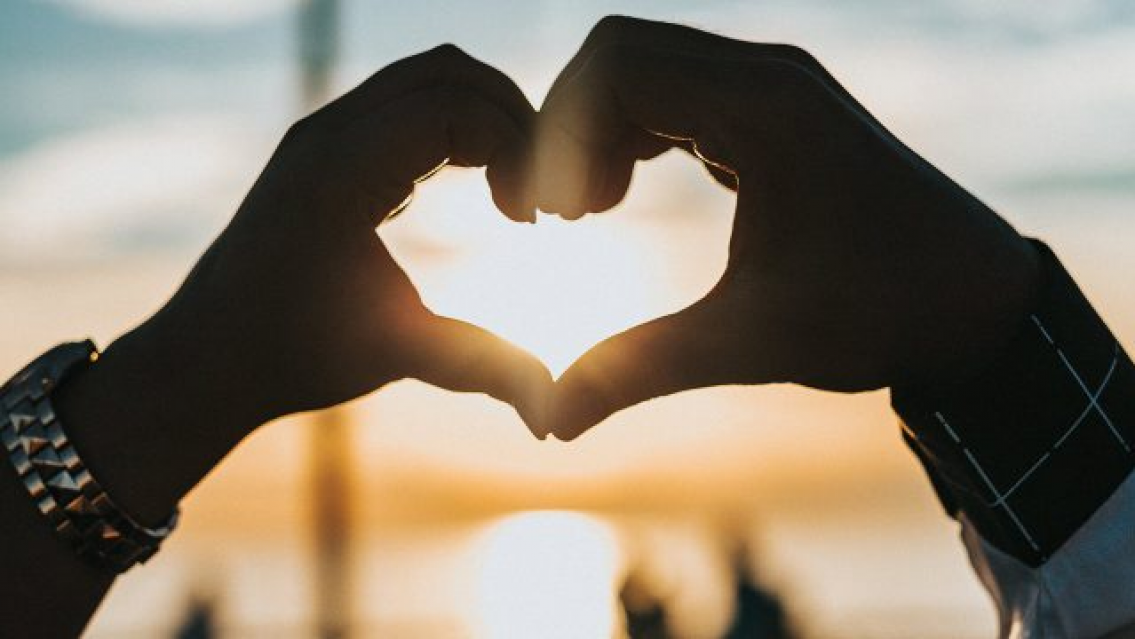 NO son t�xicos, �todos deber�amos estar en esta lista! Los signos m�s sanos que hay