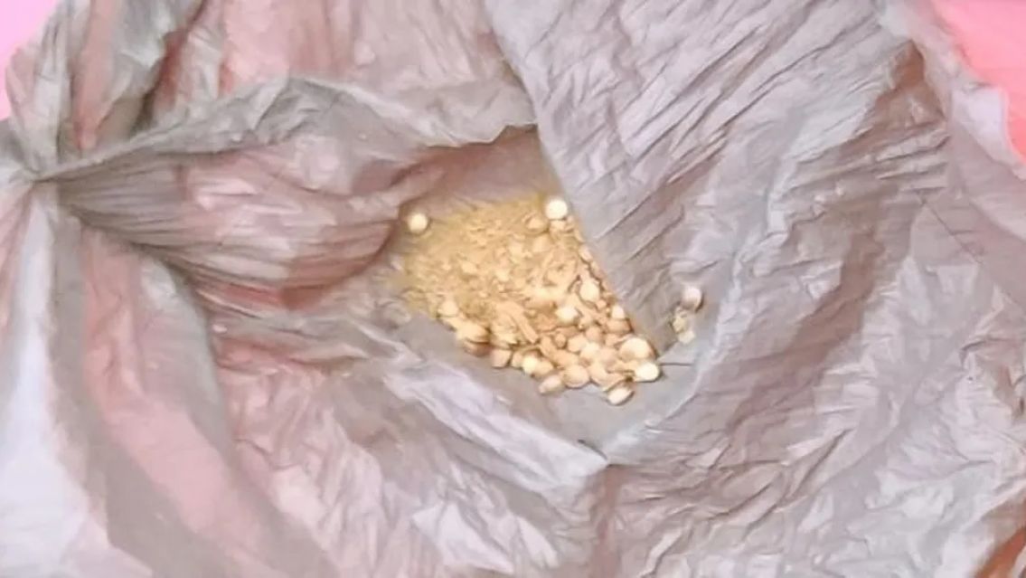 Juje�ito llev� semillas de marihuana a la escuela y lo atraparon