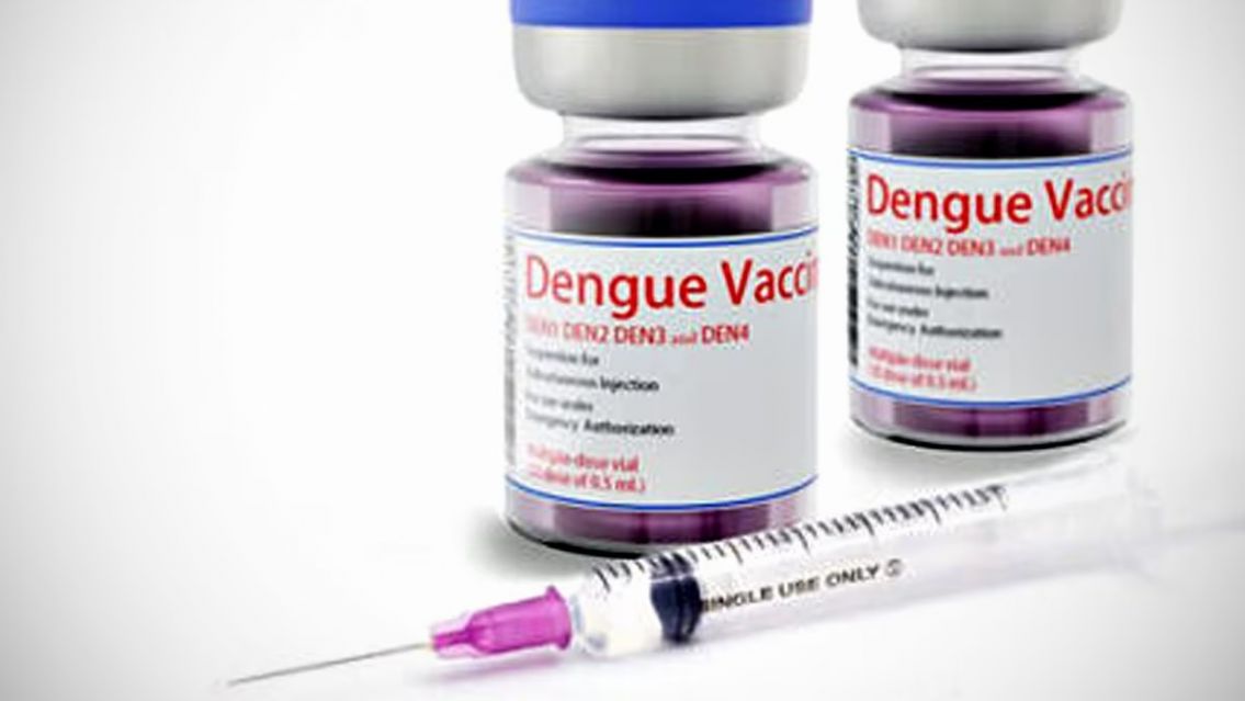 La vacuna contra el dengue está lista: se define la estrategia sanitaria