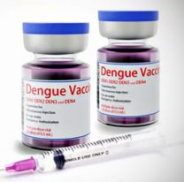 Así funciona la vacuna contra el dengue que llegará a Jujuy