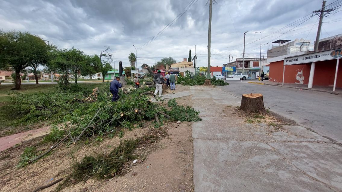 Rivarola mandó a destrozar arbolitos y los palpaleños exigen ponerle freno