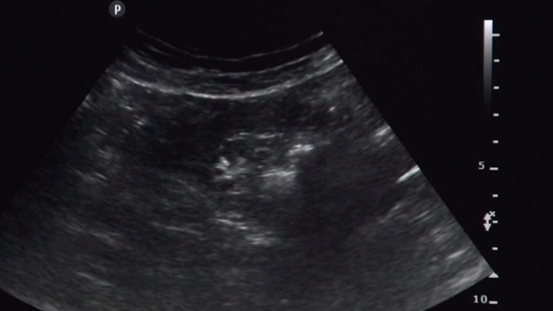 El beb� de Tini y Rodrigo De Paul. Se filtr� todo y hay fotos