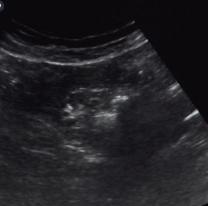 El bebé de Tini y Rodrigo De Paul. Se filtró todo y hay fotos