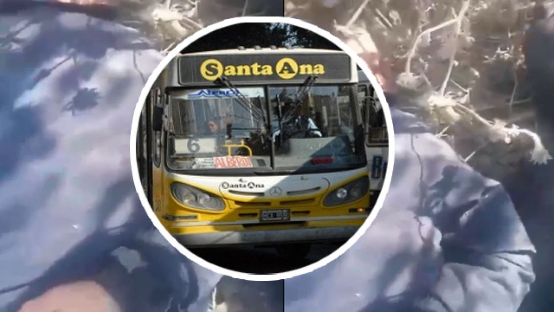 Urgente: un colectivo chocó a dos motochorros