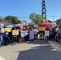 Docentes sufren los descuentos y no hay respuesta: "Son saqueadores de sueldos"