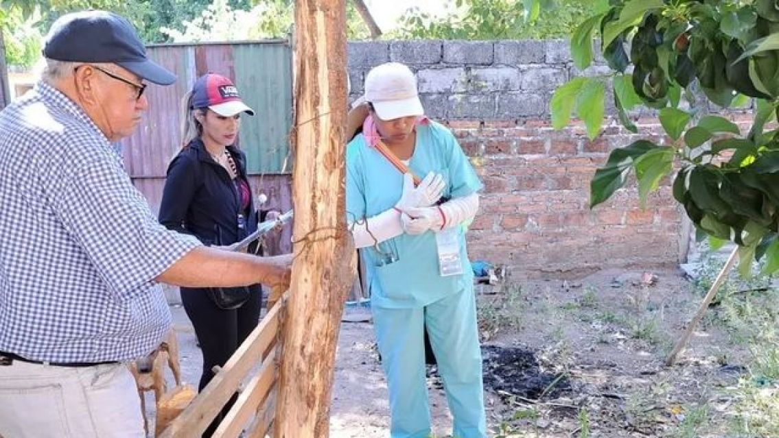 Jujuy: cedi� el dengue y por dos semanas no hubo nuevos casos
