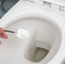 La raz&oacute;n por la que deb&eacute;s tirar un poco de sal en el inodoro todas las noches