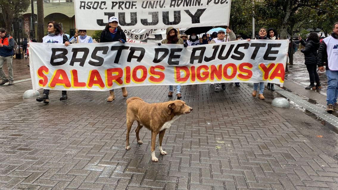 En Jujuy, el perro volvió a la calle y sostuvo: "La reforma tiene que caer"