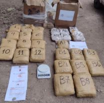 Secuestraron un millonario cargamento de marihuana en Jujuy