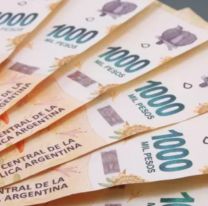 Anses paga un bono extra de $20.000 en agosto: quiénes lo cobran